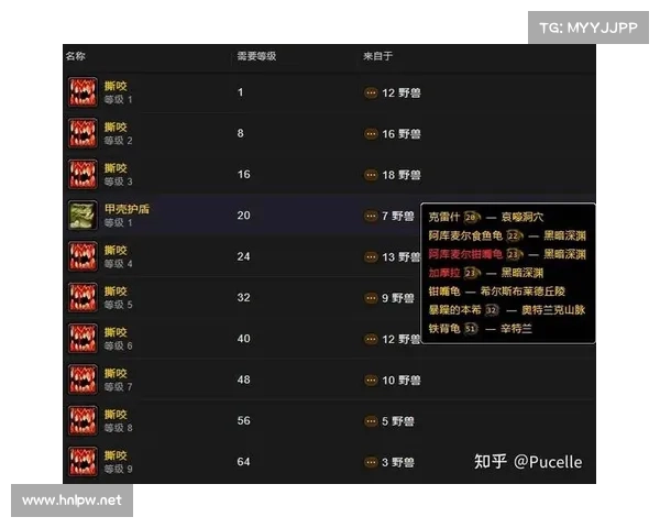 魔兽世界正服猎人技能攻略大揭秘